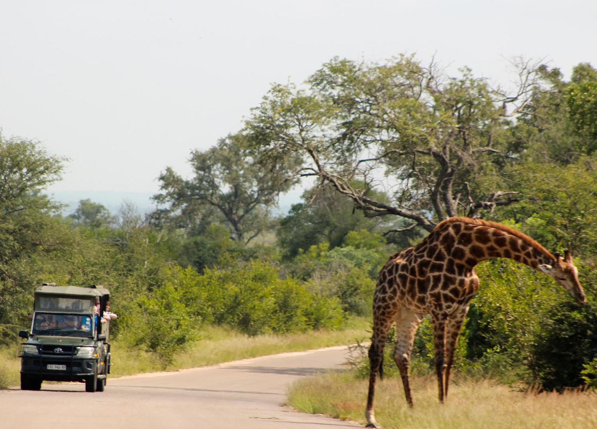 Aha Skukuza Safari Lodge Bagian luar foto