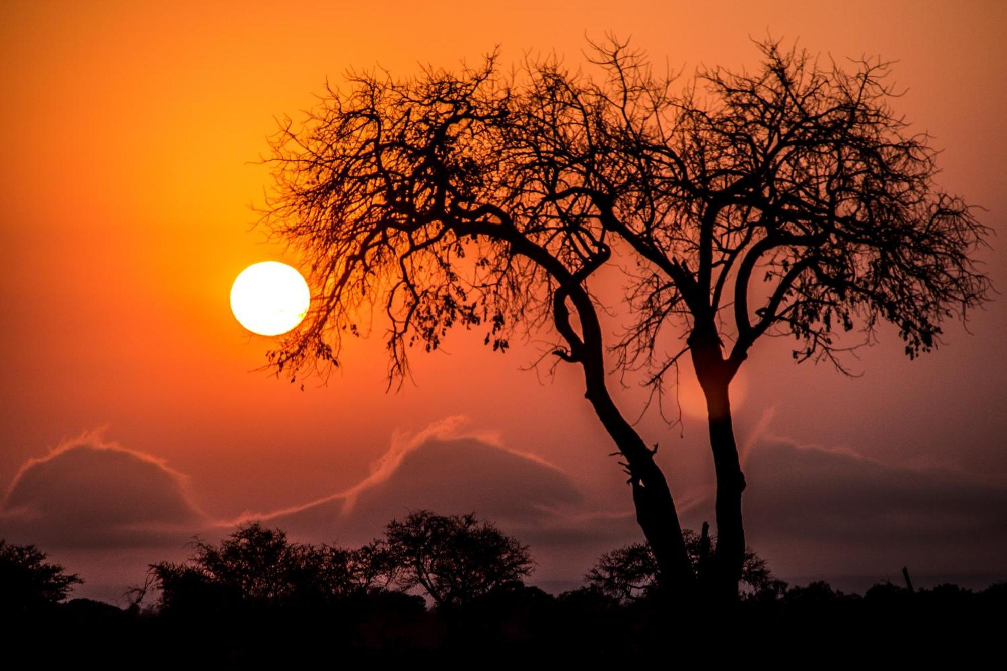 Aha Skukuza Safari Lodge Bagian luar foto