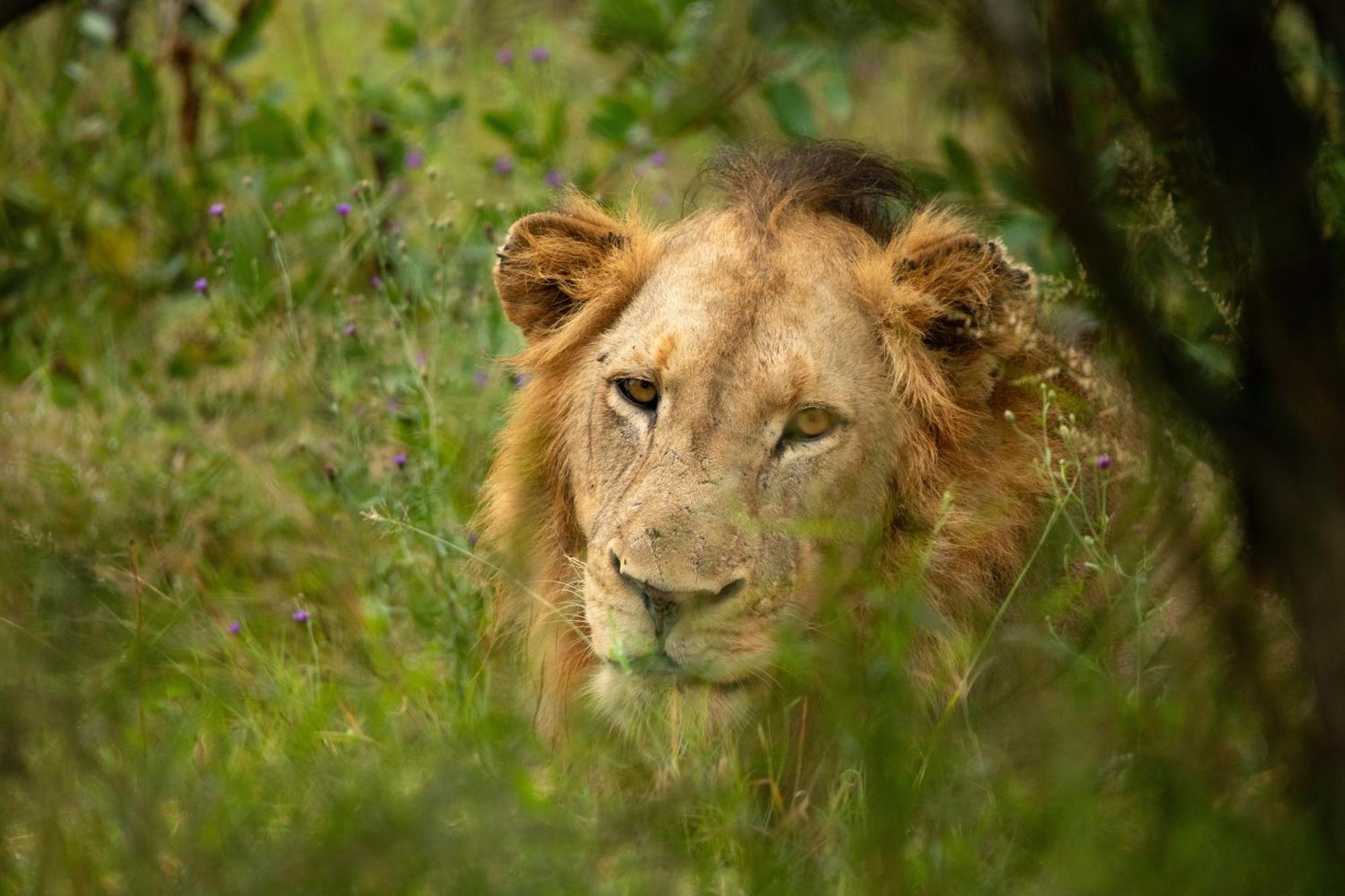 Aha Skukuza Safari Lodge Bagian luar foto